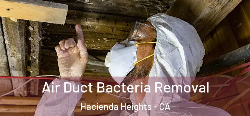  Air Duct Bacteria Removal Hacienda Heights - CA