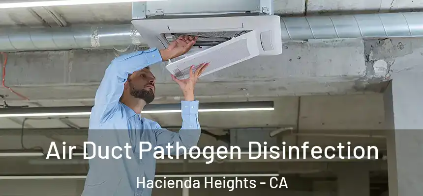  Air Duct Pathogen Disinfection Hacienda Heights - CA
