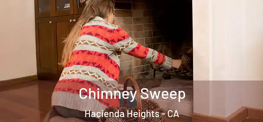  Chimney Sweep Hacienda Heights - CA