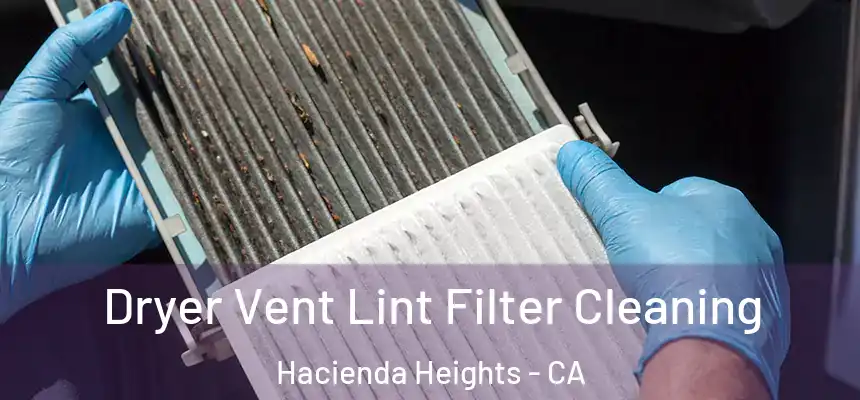  Dryer Vent Lint Filter Cleaning Hacienda Heights - CA