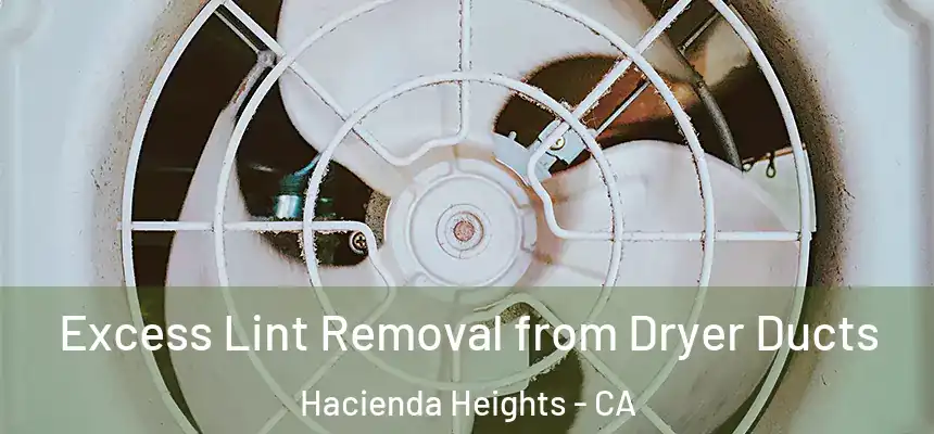  Excess Lint Removal from Dryer Ducts Hacienda Heights - CA