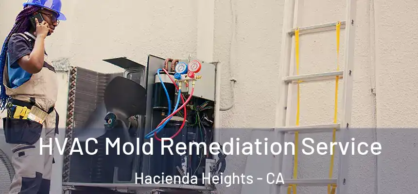  HVAC Mold Remediation Service Hacienda Heights - CA