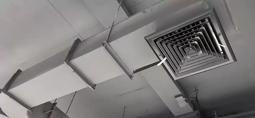 Restorative Allergy Relief Vent Cleaning – Coil, Blower & Housing Detail in Hacienda Heights