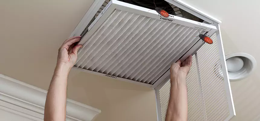 Our Insect Removal from Air Ducts Services in Hacienda Heights, CA
