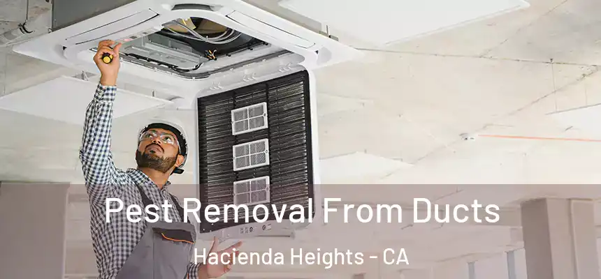  Pest Removal From Ducts Hacienda Heights - CA