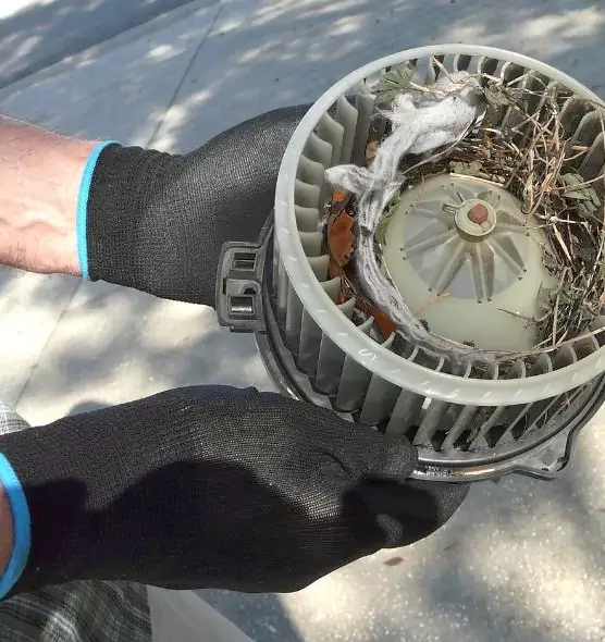 About Air Duct Mice Removal in Hacienda Heights, CA