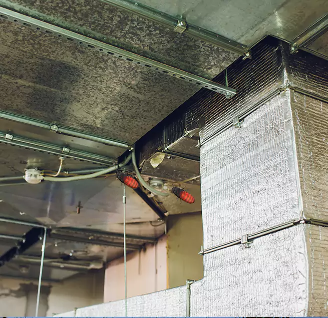 Why Homeowners & Businesses Trust Us in Hacienda Heights, CA?