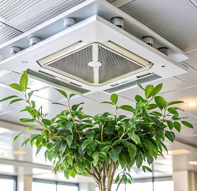 Why Homeowners & Businesses Trust Us in Hacienda Heights, CA